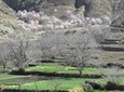 Ourika Valley Full-Day Tour from Marrakech