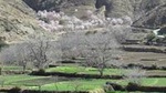 Ourika Valley Full-Day Tour from Marrakech