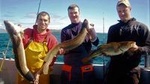 Private Trip: Connemara Deep Sea Angling Day Trip from Cleggan