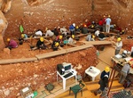 Participate in an Archeological Excavations