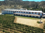 Wine Taste at Casa Pedro Domecq, Valle de Guadalupe, Baja California