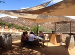 Wine Taste at Vinos Shimul, Valle de Guadalupe, Baja California