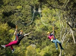 Go Ziplining on Waiheke Island, New Zealand