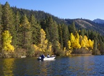 Fish or Swim in June Lake, California