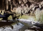 Hike to Waipu Caves, New Zealand