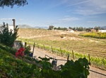 Wine Tasting in Temecula Valley, California