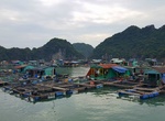 Explore Cát Bà Island, Vietnam