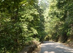 Explore Agumbe Reserved Forest, India (UNESCO Site)