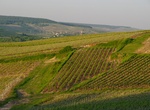 Explore Champagne Hillsides, Houses and Cellars, France (UNESCO Site)