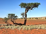 Explore NamibRand Nature Reserve, Namibia