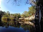 Swim in Cenote Jardín del Edén (Ponderosa), Mexico