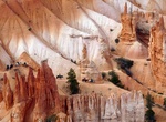 Ride Horses in Bryce Canyon National Park, Utah