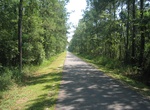 Hike or Ride Tammany Trace, Louisiana