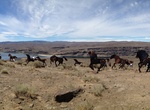See Grandfather Cuts Loose the Ponies (Wild Horse Monument), Washington