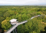 Explore Hainich National Park, Germany (UNESCO site)