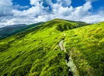 Explore Carpathian Biosphere Reserve, Ukraine (UNESCO site)