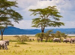 Explore Lake Baringo, Kenyan Rift Valley Lakes, Kenya (UNESCO Site)