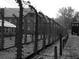 Auschwitz-Birkenau Guided Tour from Krakow