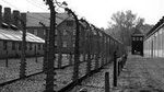 Auschwitz-Birkenau Guided Tour from Krakow