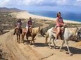 Beach Horseback Riding Tour for Beginners in Cabo San Lucas