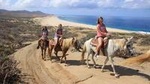 Beach Horseback Riding Tour for Beginners in Cabo San Lucas