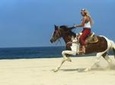Cabo San Lucas Horseback Beach Ride: Intermediate and Advanced Levels