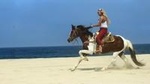 Cabo San Lucas Horseback Beach Ride: Intermediate and Advanced Levels