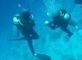 Certified 2-Tank Scuba Diving Tour from Montego Bay