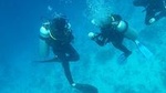 Certified 2-Tank Scuba Diving Tour from Montego Bay