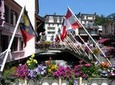 Chamonix Day Trip and Geneva city tour