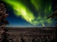 Rovaniemi Northern Lights Photography Small-Group Tour