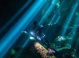 Cenotes diving Dos Ojos and The Bat Cave