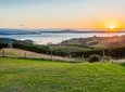 Full-Day Tour of Waiheke Island including Wine Tastings 