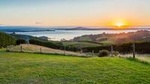 Full-Day Tour of Waiheke Island including Wine Tastings 