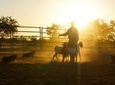 Katherine Outback Experience