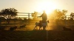 Katherine Outback Experience