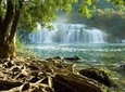 NP Krka Waterfalls Small Group Tour and Wine Tasting from Split or Trogir