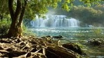 NP Krka Waterfalls Small Group Tour and Wine Tasting from Split or Trogir