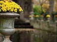 Latin Quarter 2-Hour Private Walking Tour