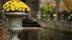Latin Quarter 2-Hour Private Walking Tour