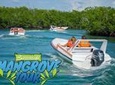 Mangrove & Lagoon Speed Boat Tour 