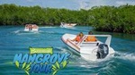 Mangrove & Lagoon Speed Boat Tour 
