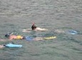 Montego Bay Shore Excursion: Private Snorkel Tour