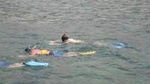 Montego Bay Shore Excursion: Private Snorkel Tour