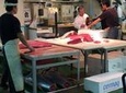 Private Morning Yanagibashi Fish Market and Sushi Tour in Nagoya