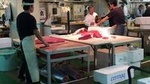 Private Morning Yanagibashi Fish Market and Sushi Tour in Nagoya