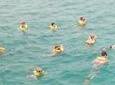 Ocho Rios Shore Excursion: Private Snorkel Tour
