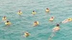 Ocho Rios Shore Excursion: Private Snorkel Tour