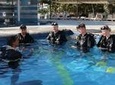 PADI Discover Scuba Diving in Playa del Carmen