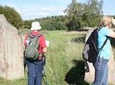 Private Half Day Tour: Viking History Trip from Stockholm Including Sigtuna